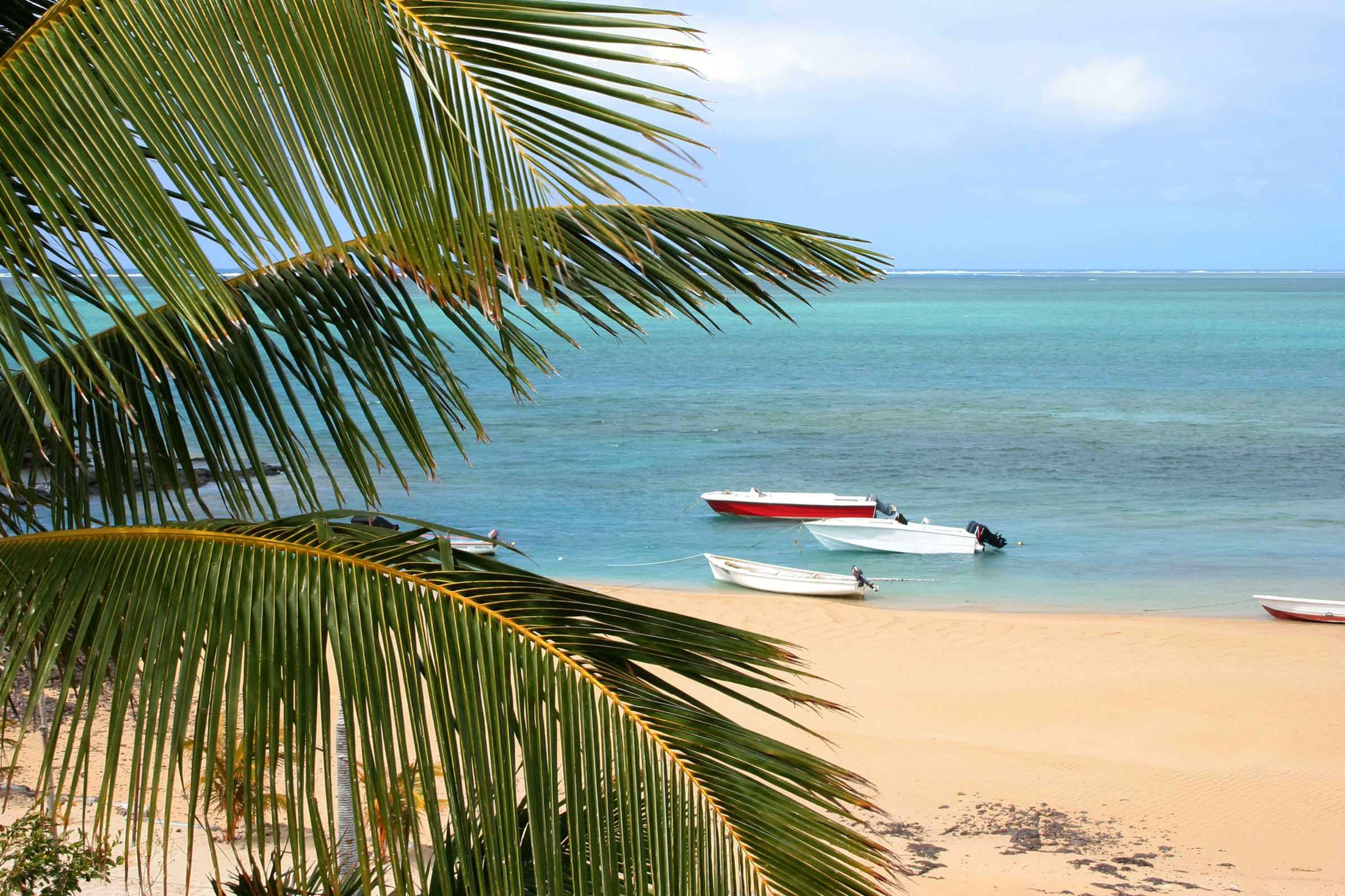 rodrigues (2).webp